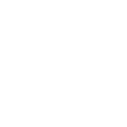 team work bakktz goverment icon